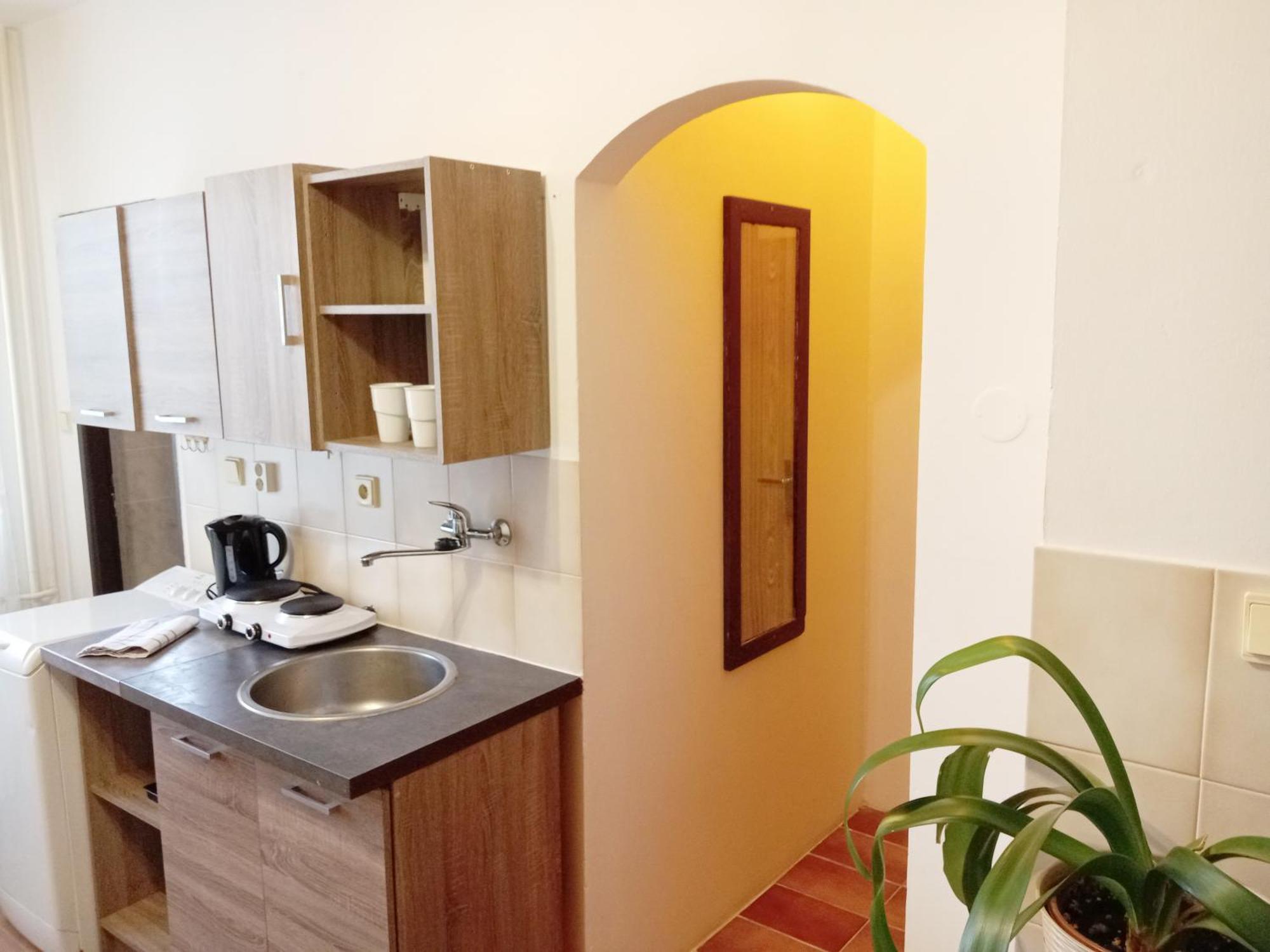 Apartments Alena - Karlovy Vary Bilik gambar